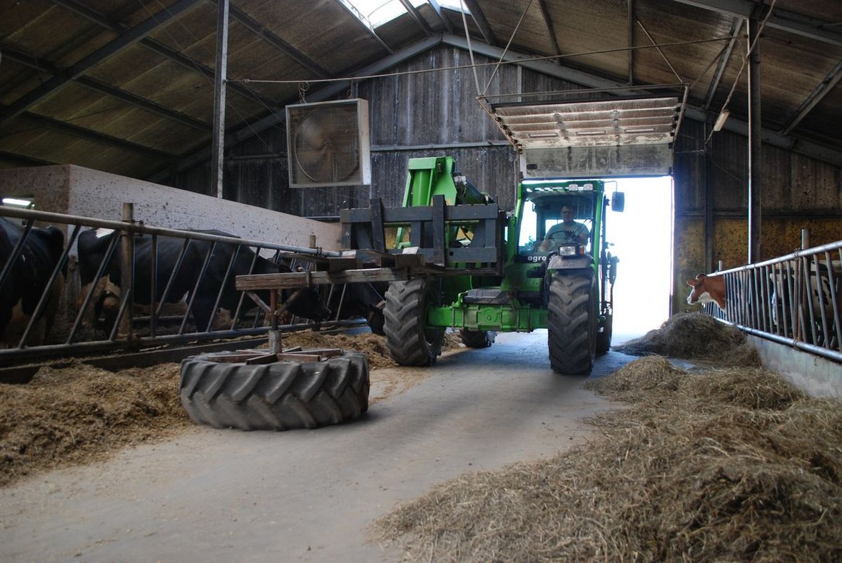 Merlo Turbofarmer w oborze