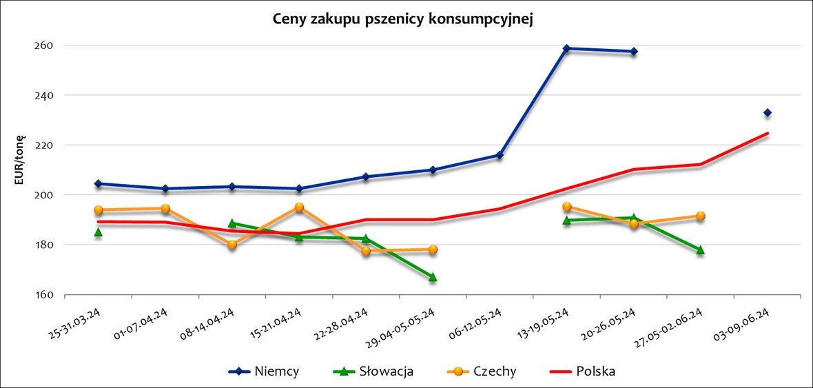 Cena zakupu pszenicy