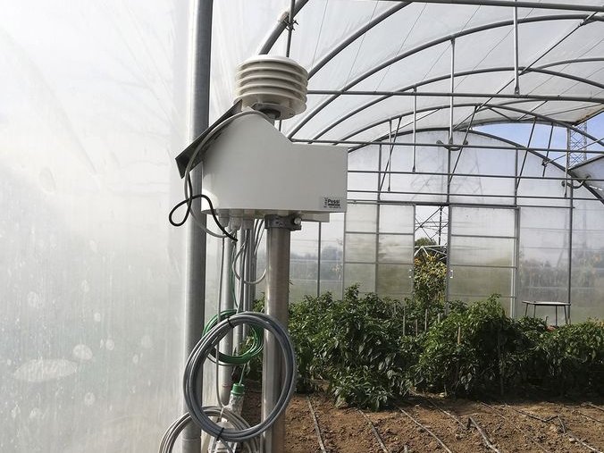 Rozwiązania IoT dla uprawy roślin