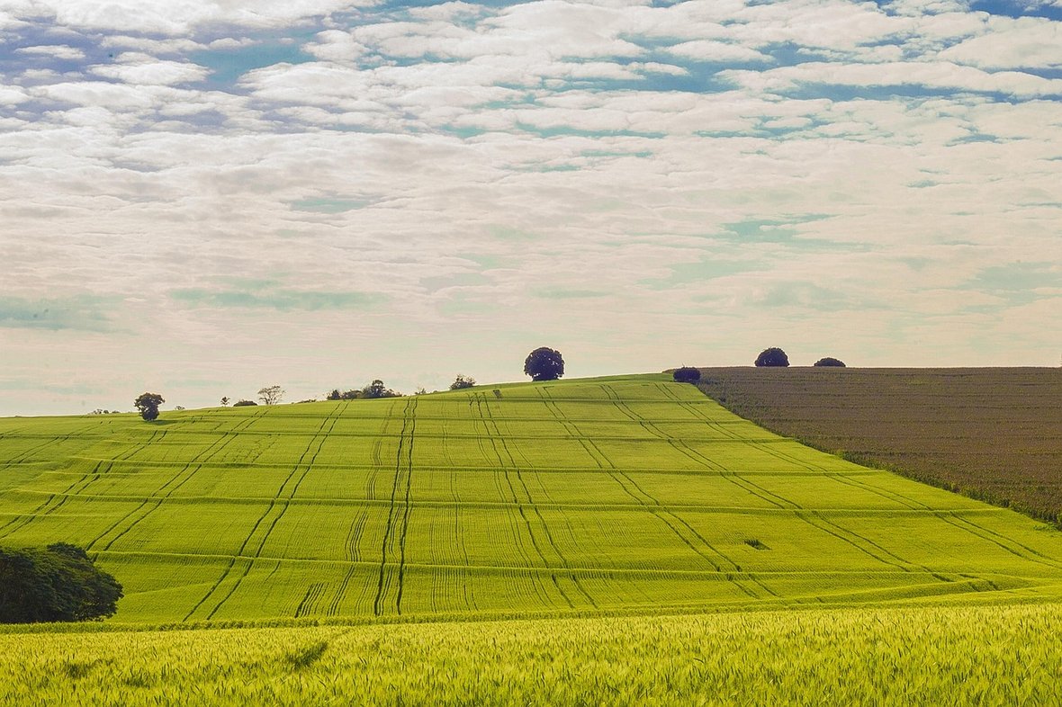 Poprawa klimatu biznesowego, choć nadal na minusie