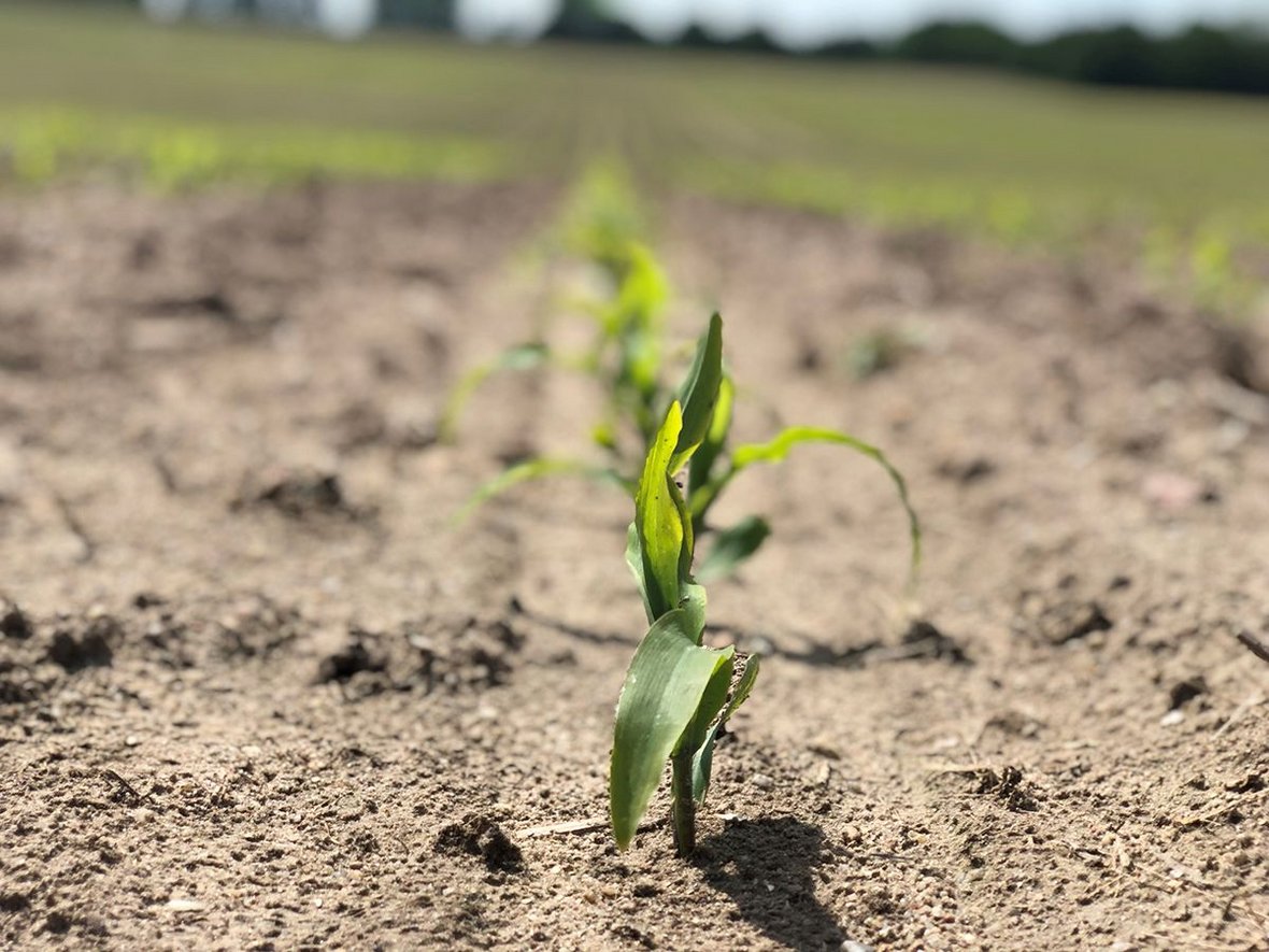 Czysty zysk z 365FarmNet