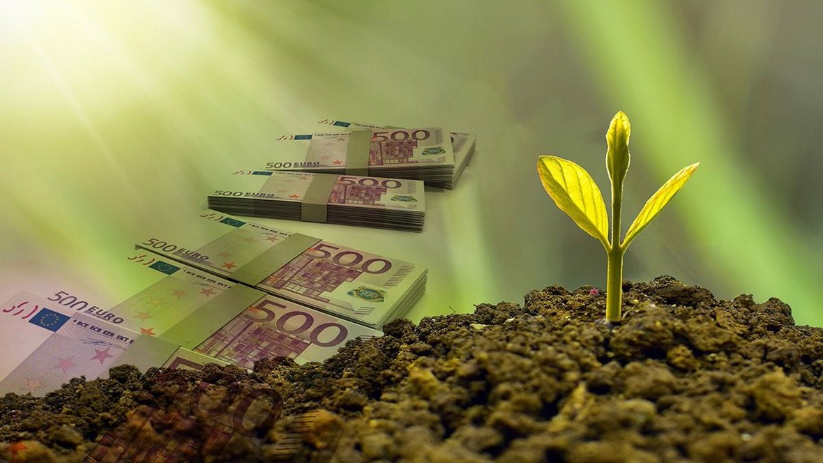 Finansowanie inwestycji rolnych. Branża w dobrej kondycji
