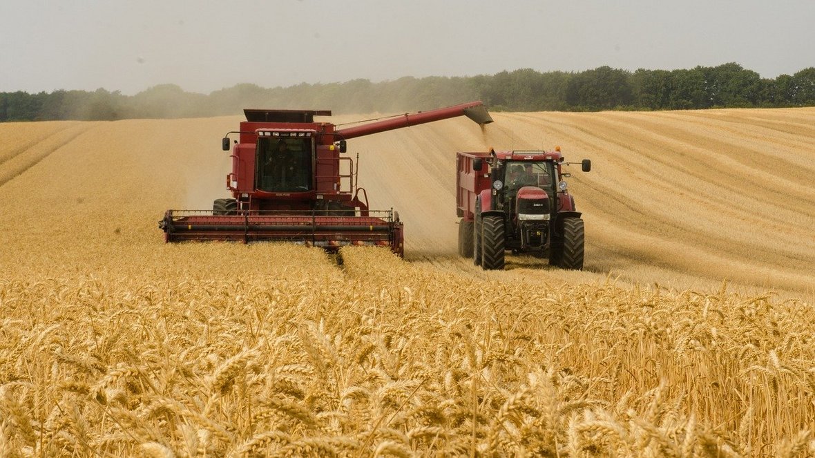 FAO - Polska jednym z ważniejszych krajów dla rolnictwa