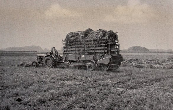 70 lat rozrzutników Bergmann