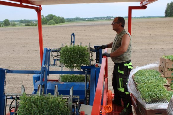 Promodis i Gruppa Organic: rolnictwo ekologiczne w wersji 4.0