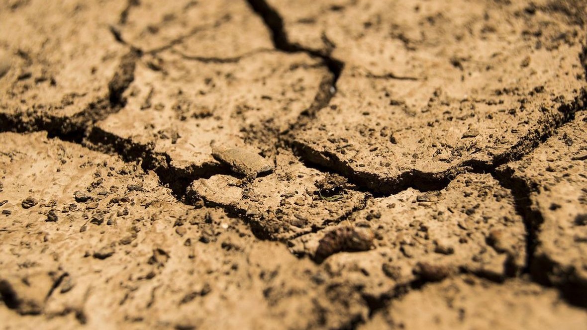 Zmiany klimatyczne a postawy rolników