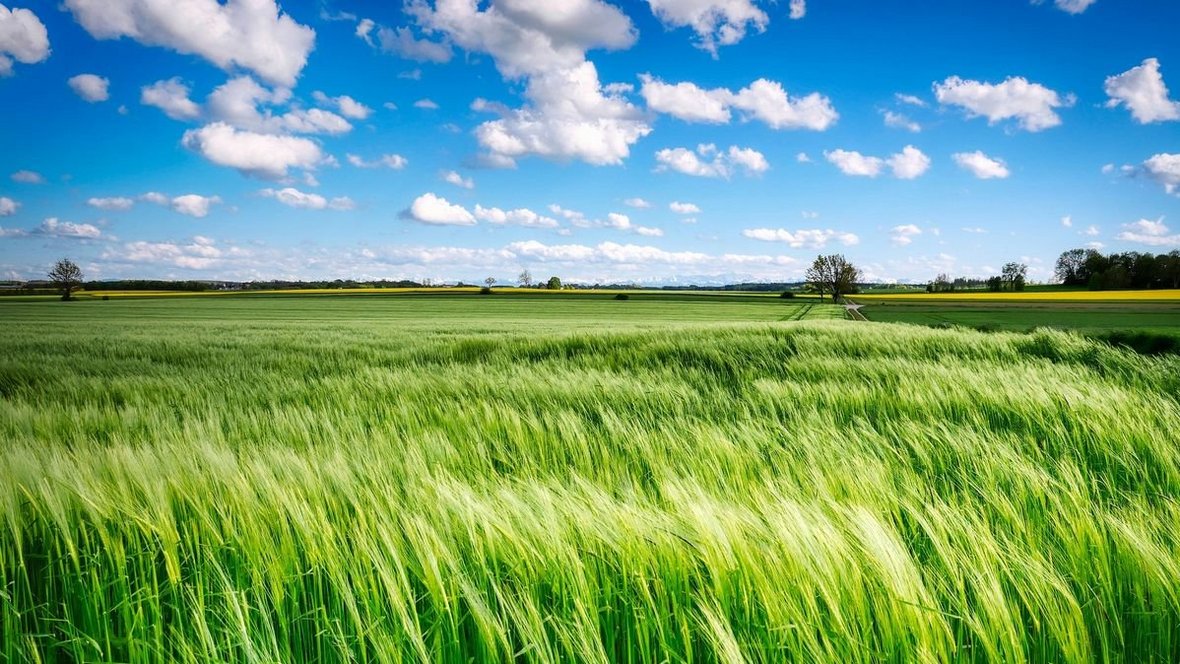 PIGMiUR zbadała nastroje w branży 