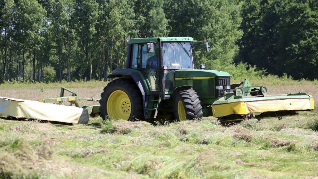 krone