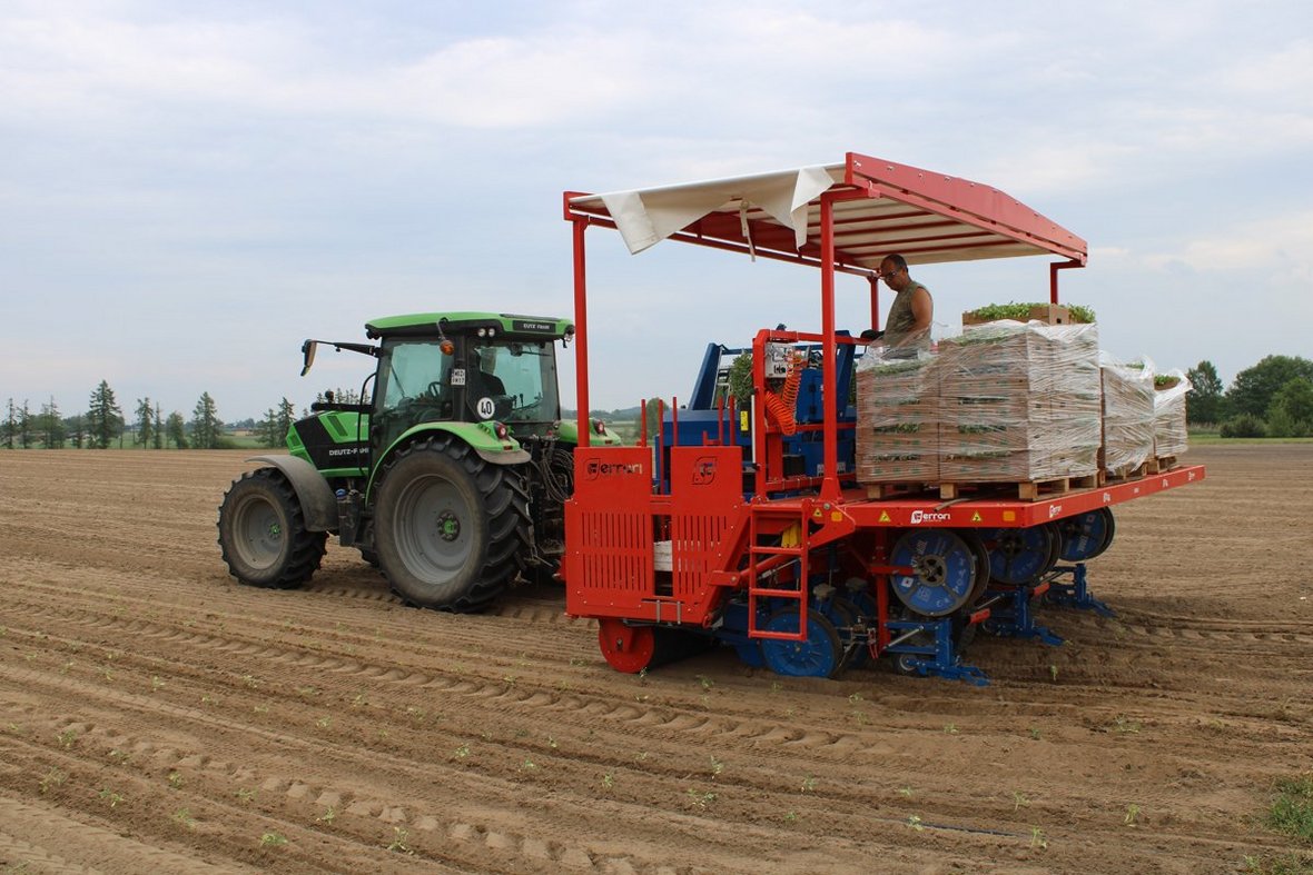 Promodis i Gruppa Organic: rolnictwo ekologiczne w wersji 4.0