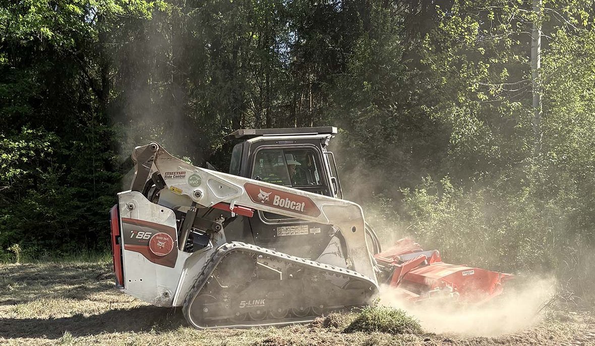 Bobcat