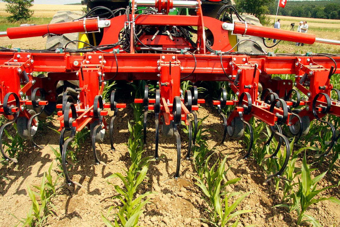 horsch