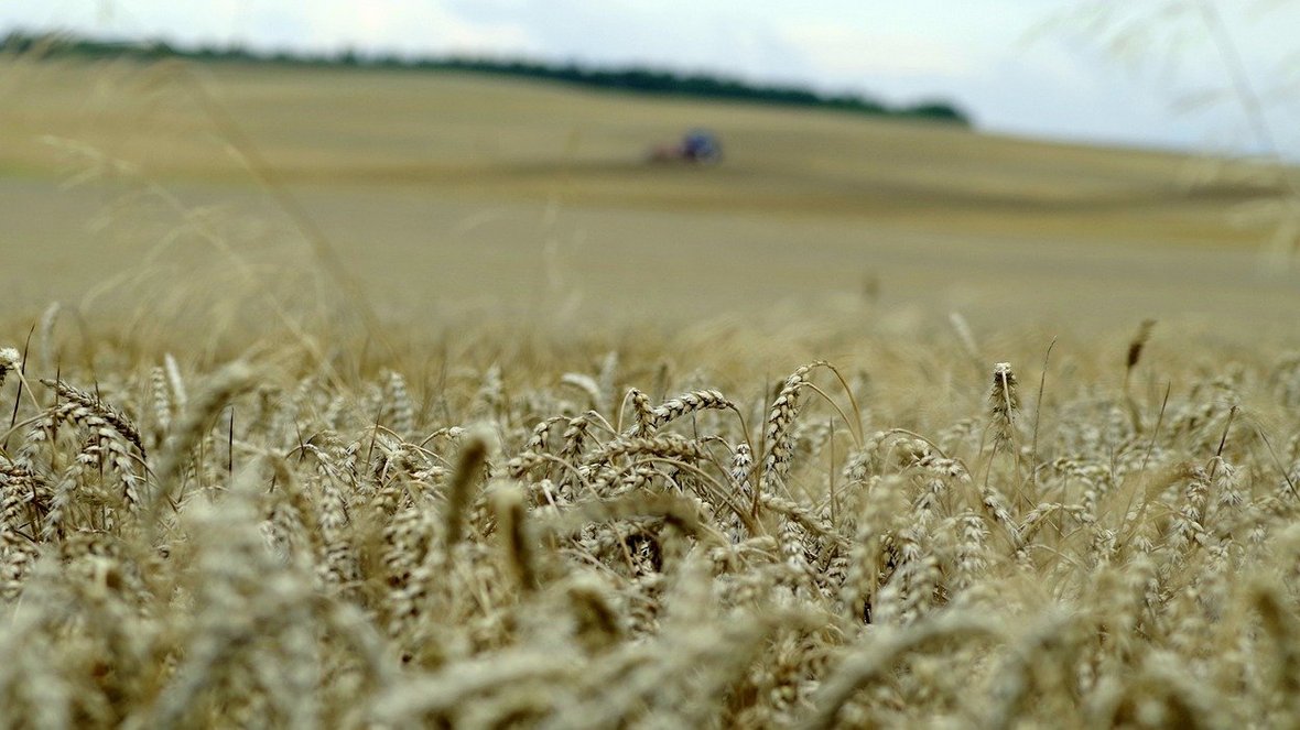 Pora na odtwarzanie zasobów przyrodniczych