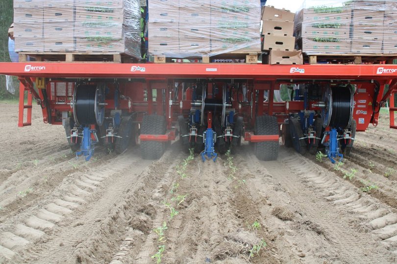 Promodis i Gruppa Organic: rolnictwo ekologiczne w wersji 4.0