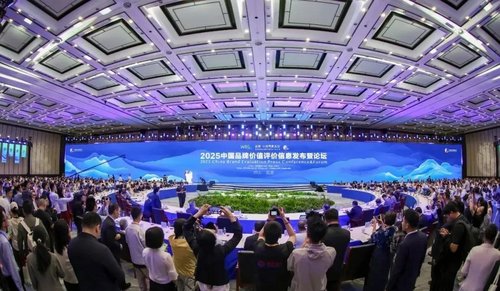 Triangle Tyre na liście wartościowych marek w Chinach 2025