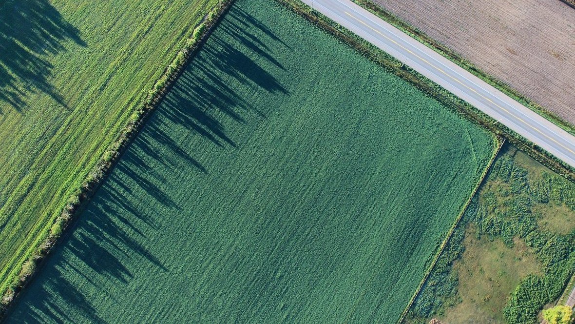 Wypłaty w ramach ekoschematów obszarowych