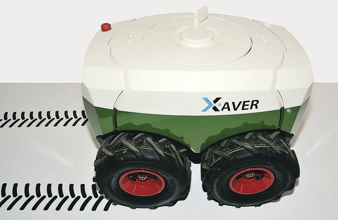 xaver