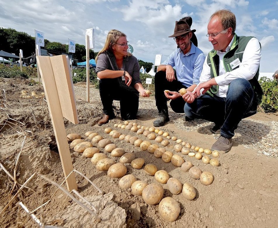 PotatoEurope 2026 w Springe – technologia, odmiany i pokazy maszyn