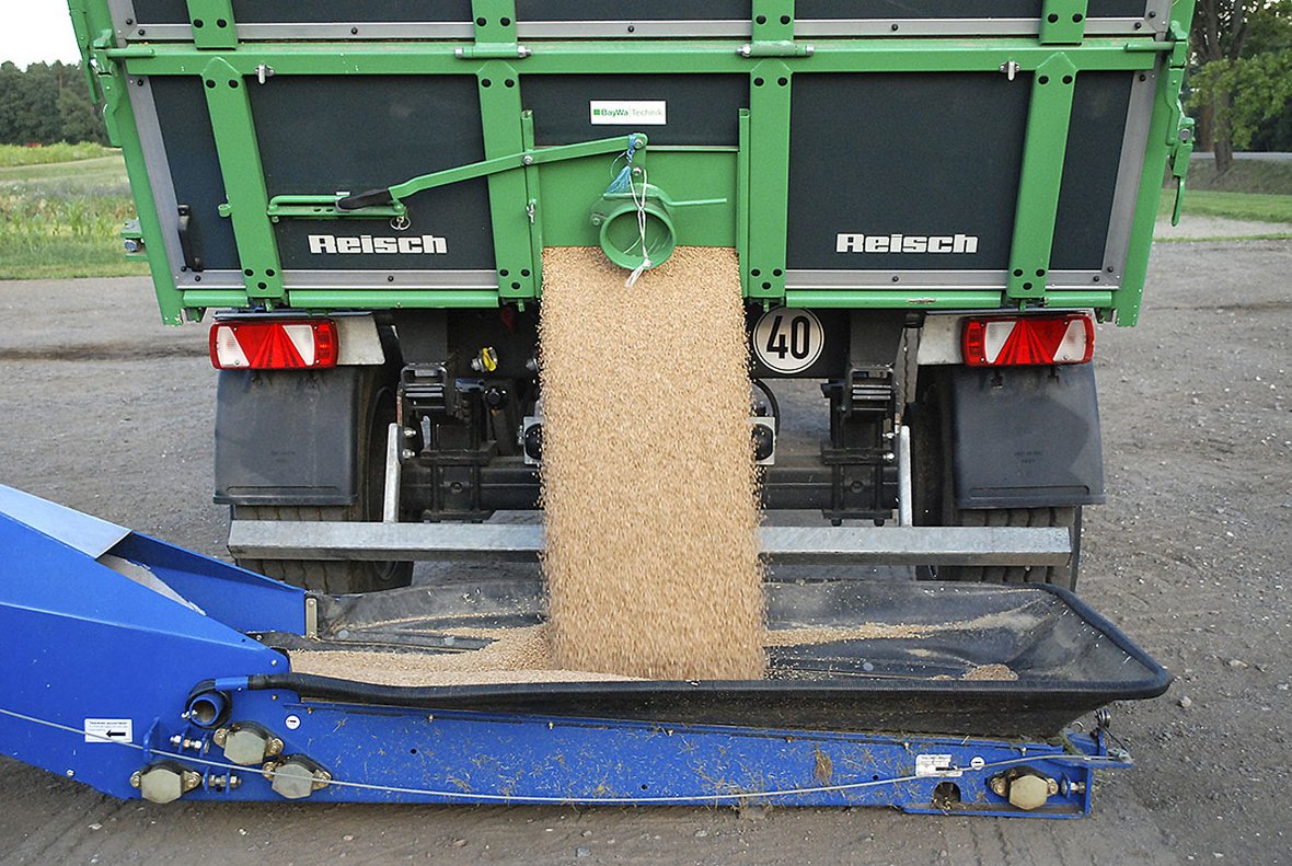 horsch