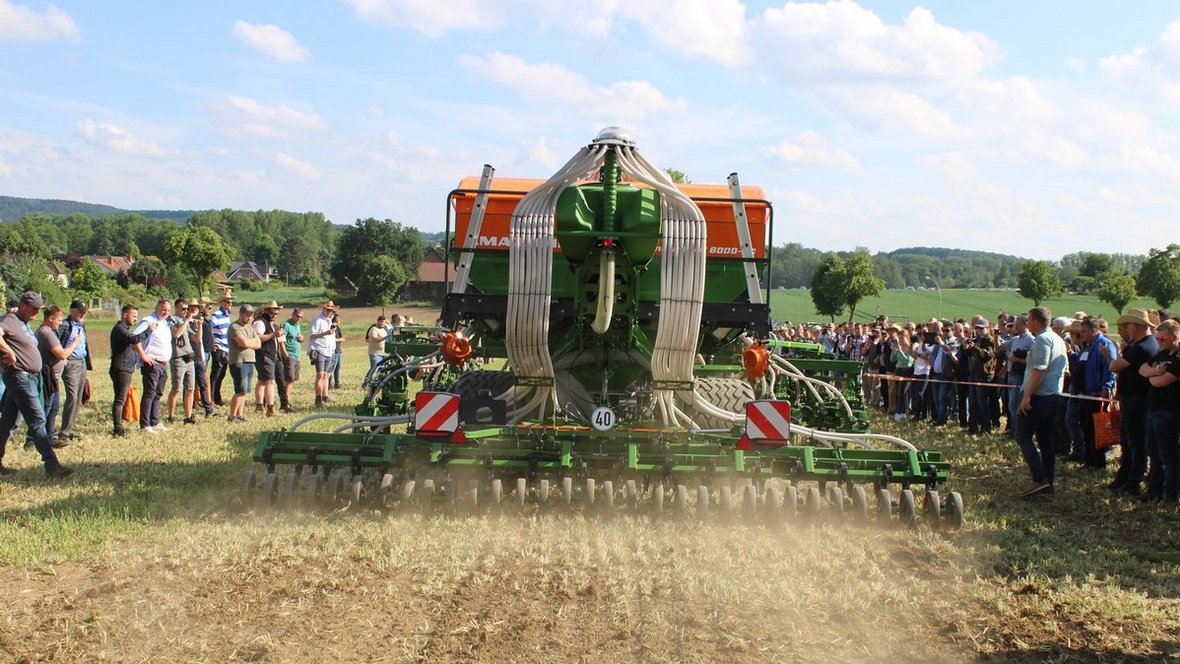 Rok ze wzrostem obrotów Amazone