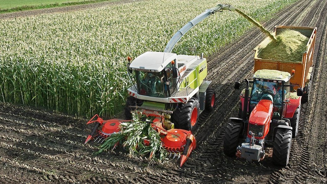 Kemper. Pro zamiast Plusa 