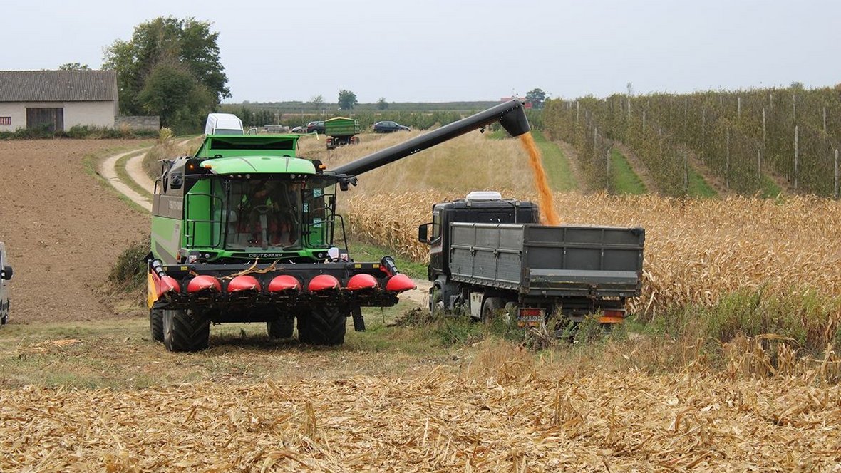 Pokazy polowe nowego kombajnu Deutz-Fahr 6305TS
