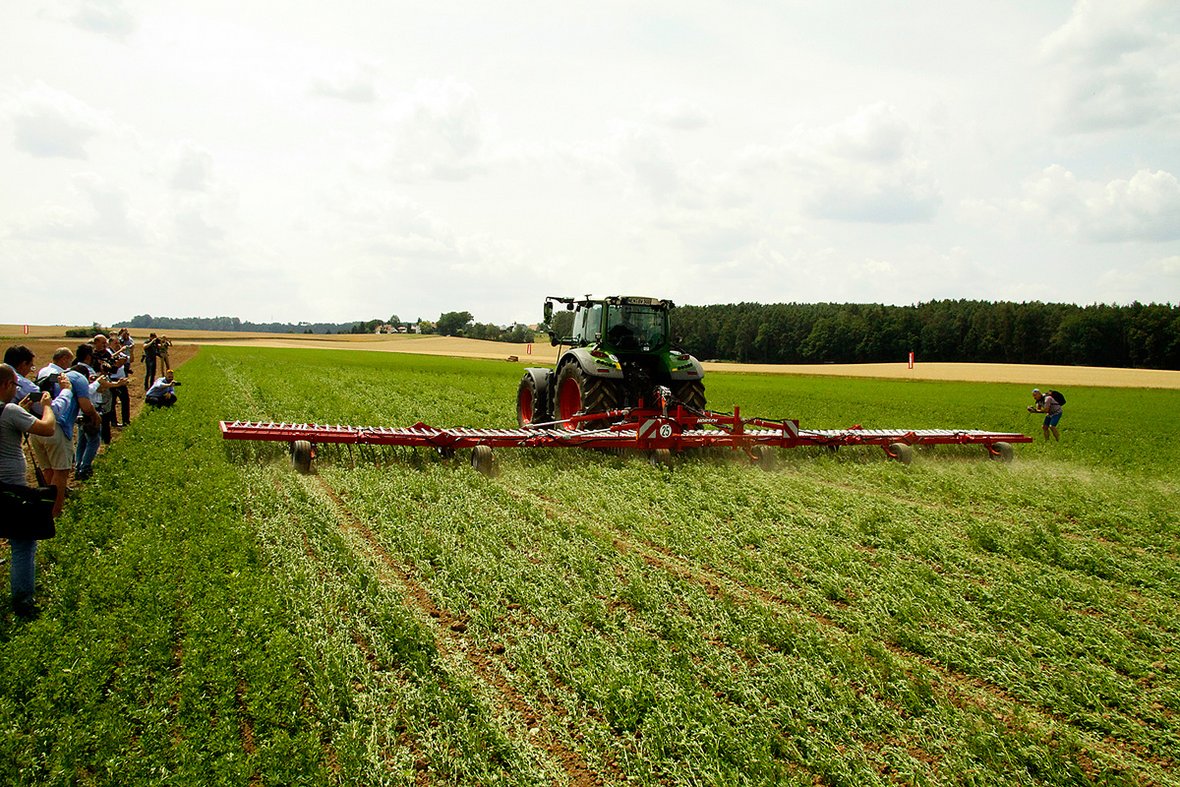 horsch