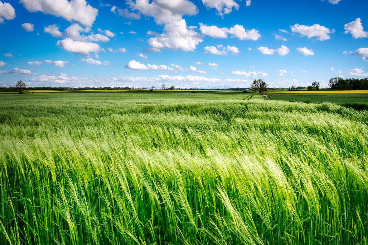 Słabsze nastroje w branży