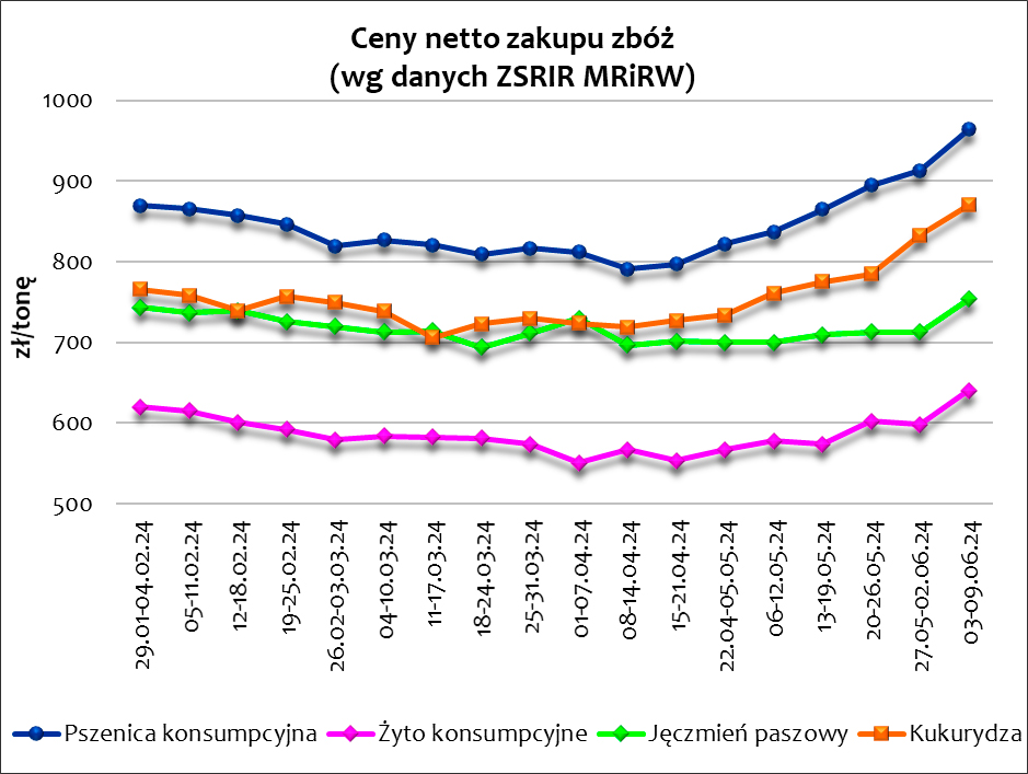 ceny zakupu zbóż