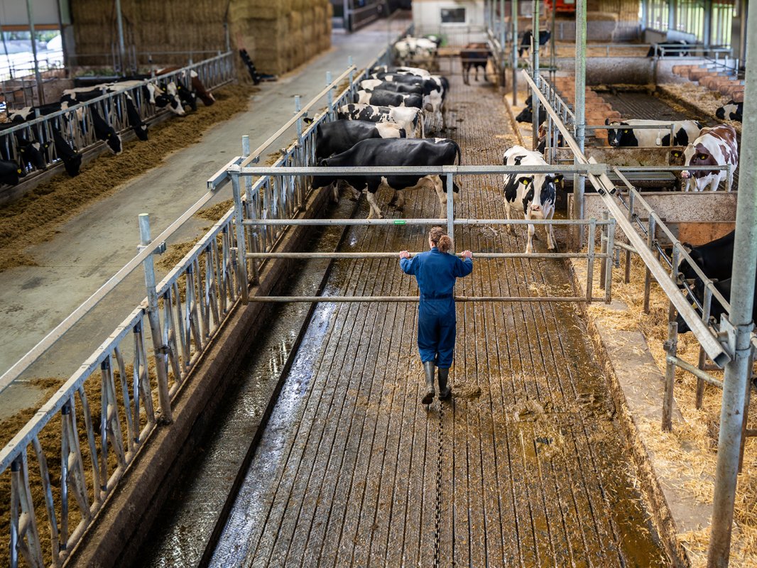 EuroTier 2024. Innowacje w hodowli zwierząt odpowiedzią na współczesne wyzwania